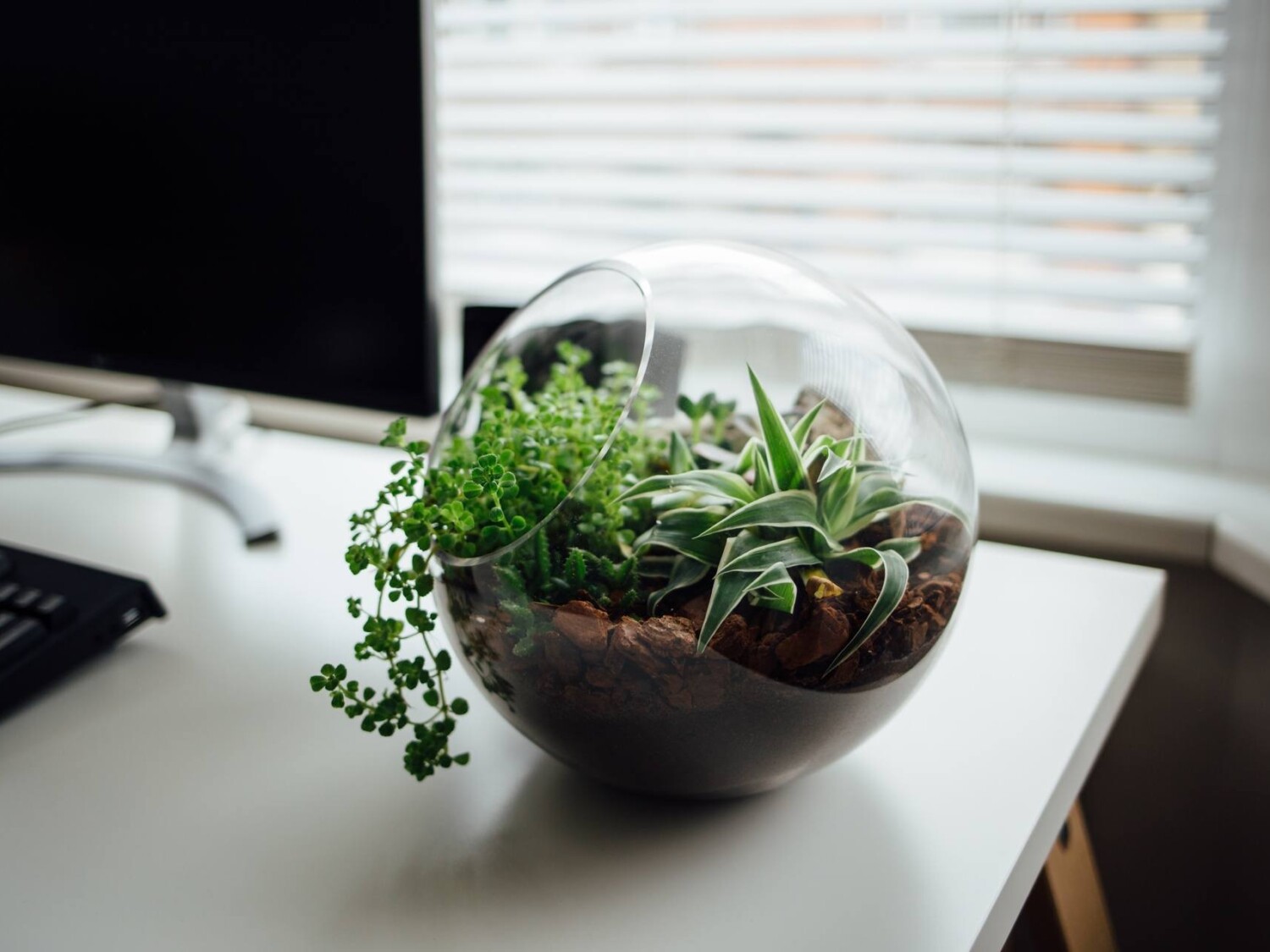 Ecological System in Office